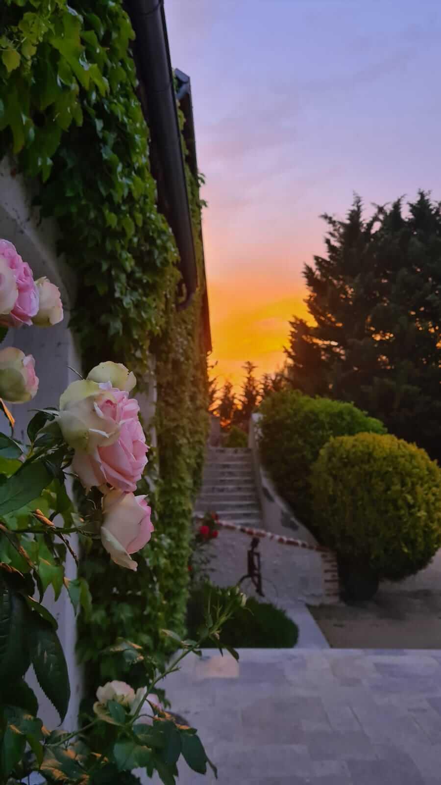 Domaine De La Blonnerie Bed & Breakfast Feings  Eksteriør bilde