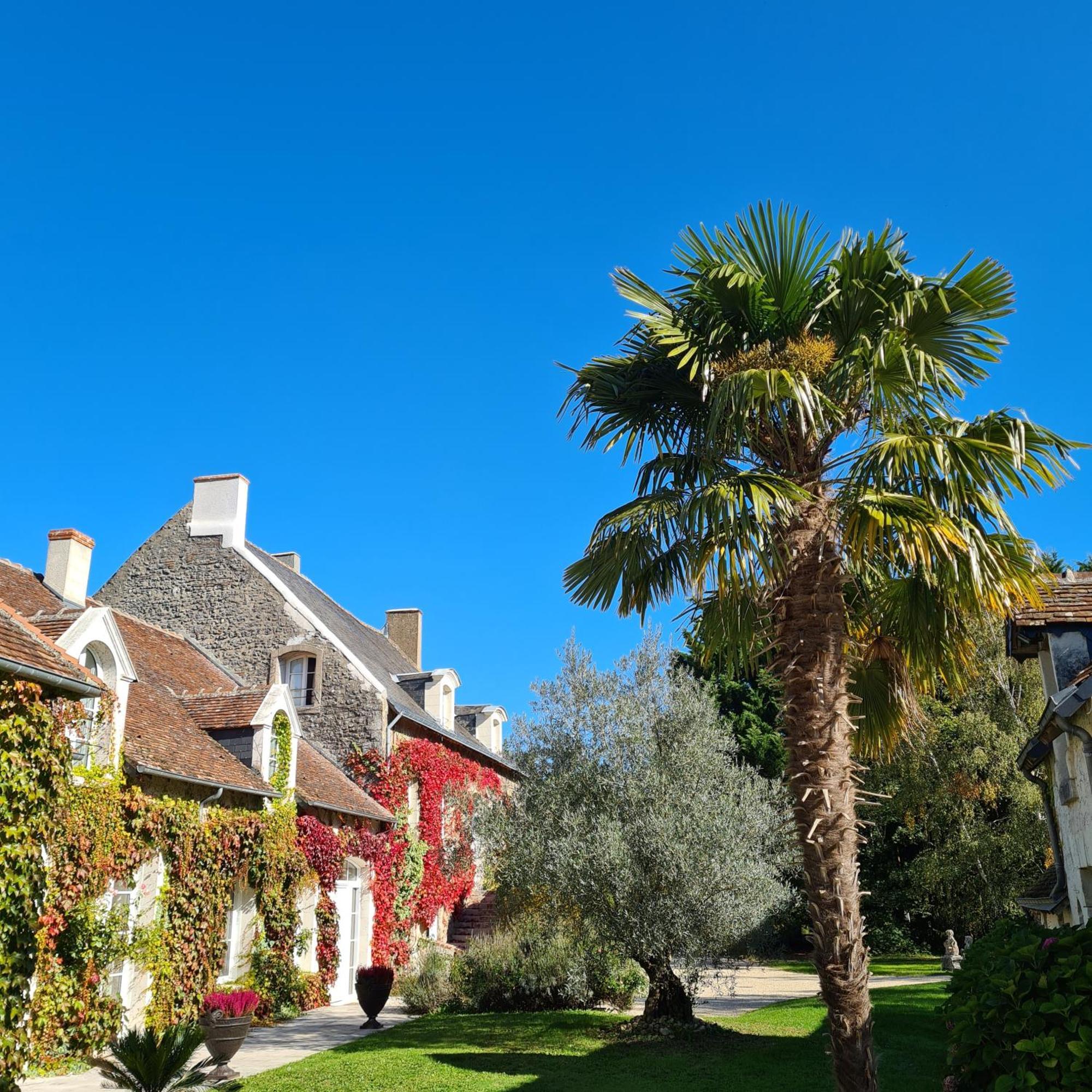 Domaine De La Blonnerie Bed & Breakfast Feings  Eksteriør bilde