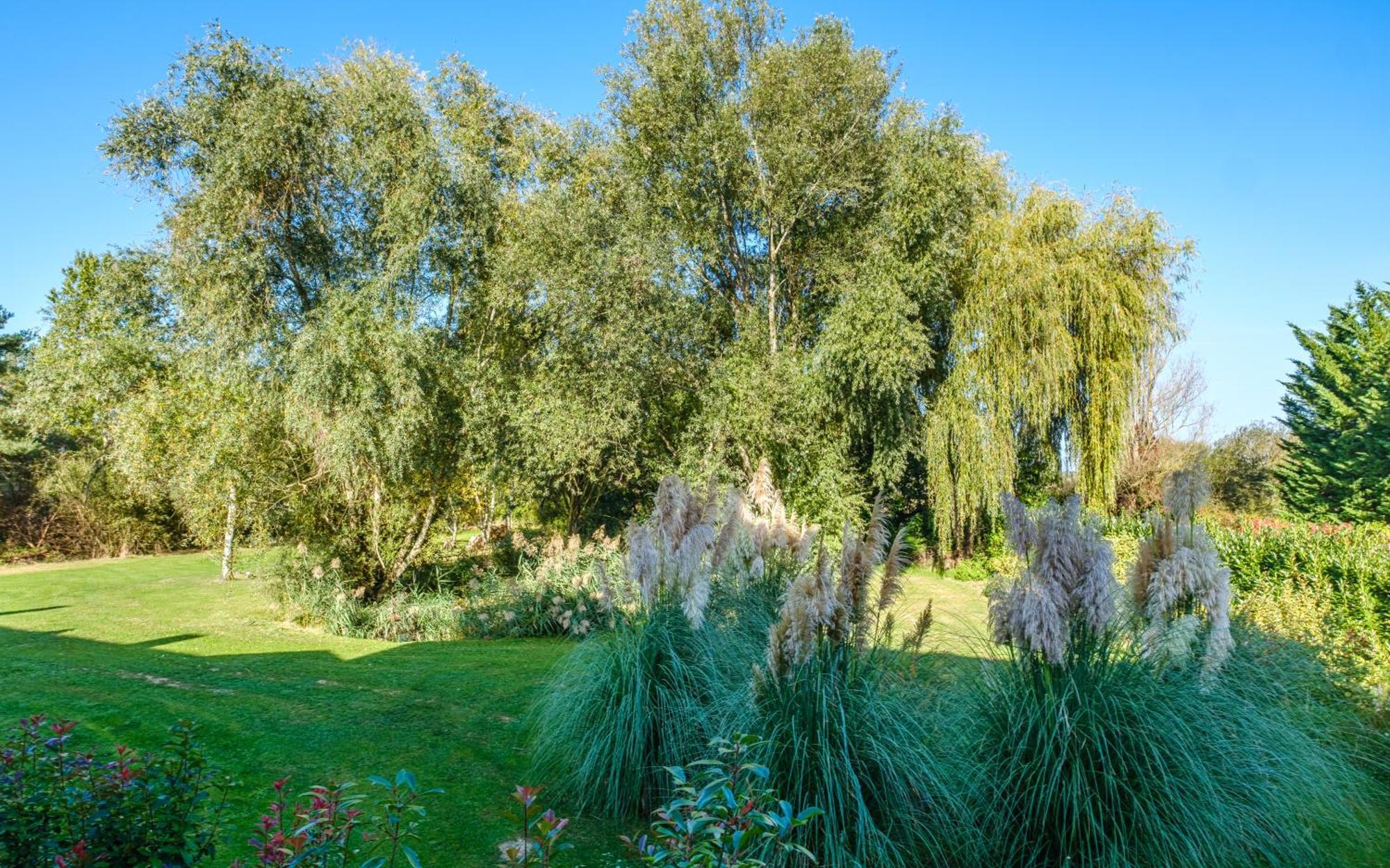 Domaine De La Blonnerie Bed & Breakfast Feings  Eksteriør bilde